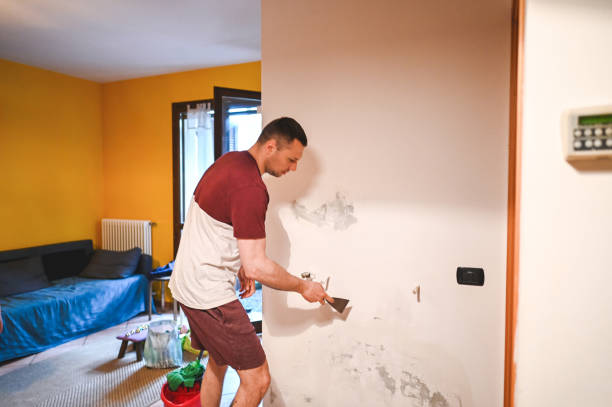 Best Post-Flood Mold Remediation in Cambridge Springs, PA